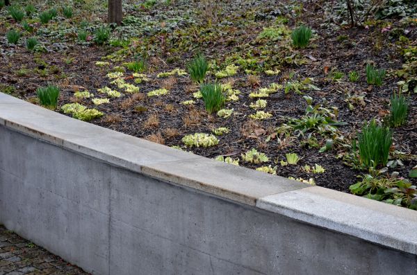 Concrete Wall Construction in Parker