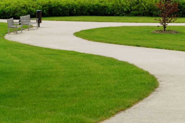 Sidewalk Concrete Service in Parker