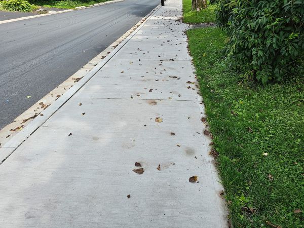 Sidewalk Renovation in Parker