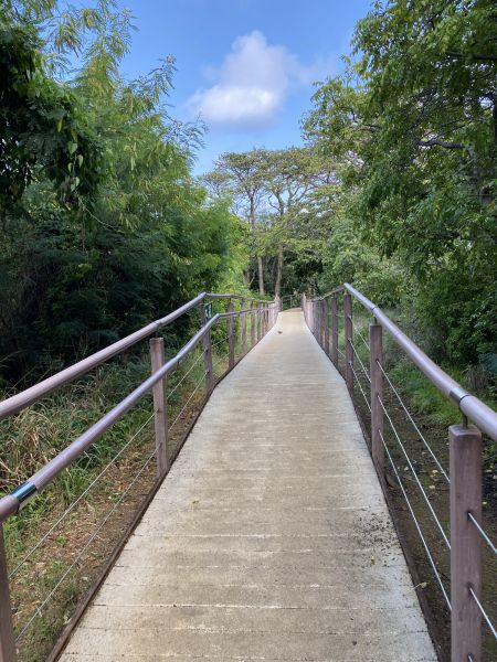 Footpath Construction in Parker