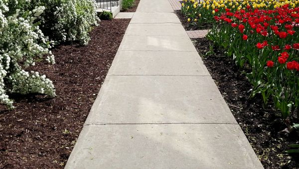 Cement Sidewalk Installation in Parker