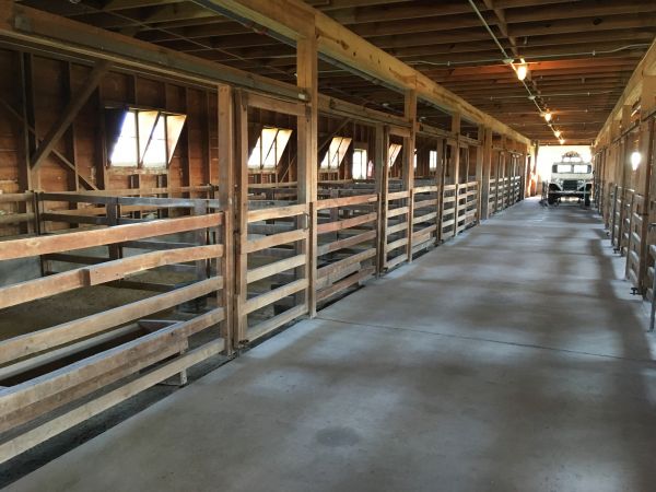 Barn Slab Construction in Parker