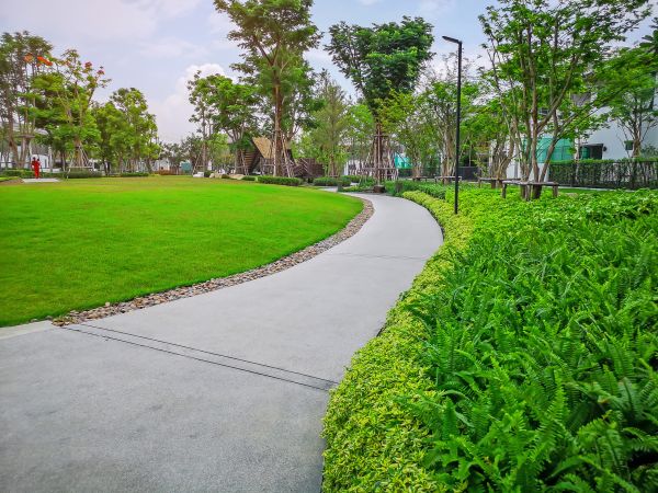 Cement Walkway Service in Parker