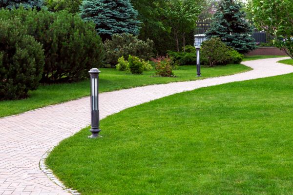 Backyard Sidewalk Installation in Parker