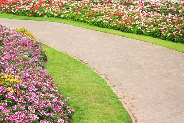 Concrete Walkway Service in Parker